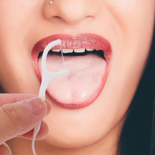 DECHOUS Portable Dental Floss Picks Effective Plaque for Adults 1000pcs with Compact Case, Disposable Plastic Cleaning Tools Gentle on Gums for Daily Use and Travel - 4
