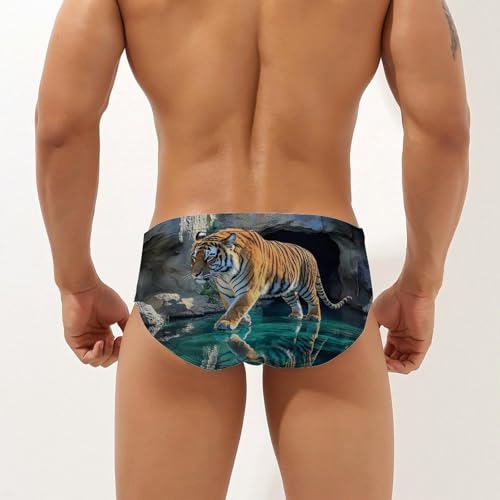A Walking Tiger Men's Swim Brief Sexy Bikini Swimwear Swimsuit Trunks Bathing Suits2
