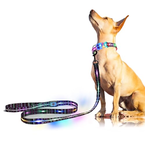 YUSHANG Guinzaglio per cani con Luce a LED, ricaricabile,1,5m,3Modalità di Illuminazione per cani di Taglia Media e Grande che Camminano di Notte (Violetta di Bohemia)