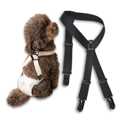 [KASAJIMA] hbOTXy_[ NEWYw_[ Ic}i[xĝ藎h~ (VL, ubN)