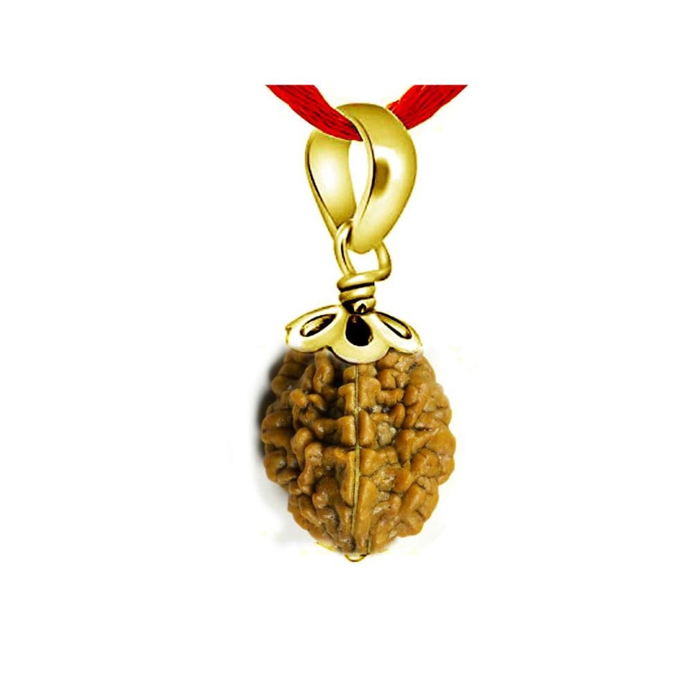 Choose Your Natural Certified Nepali Rudraksha 1 To 13 Mukhi Faced Yellow Gold Plated Pendant-image-43