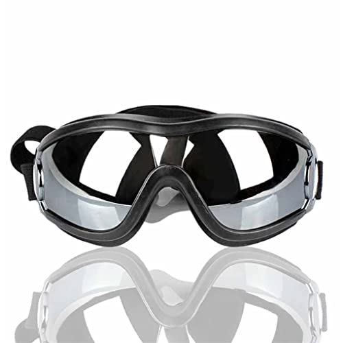 �y�b�g�h���S�[�O���T���O���X�A�W���X�^�u���o���h�A�C�E�F�A�T�C�N�����O�����j���O�A�C�O���X�ʐ^�o�[�X�f�[�t�F�X�e�B�o���ʐ^�v���b�v