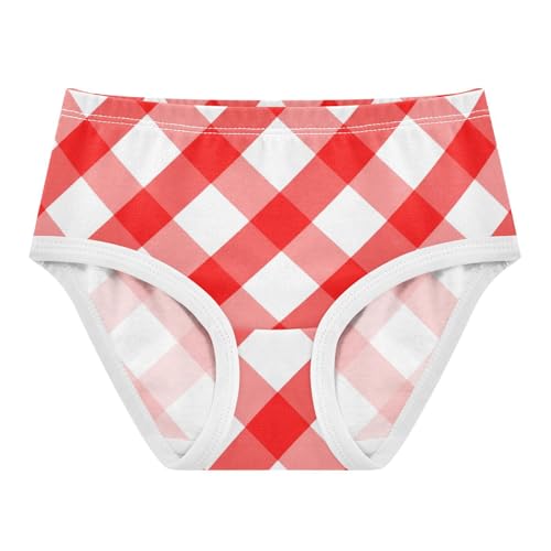 Red White Checkered Toddler Underwear Floral 2t Cotton Little Girl Panties Fun Undies Kids Briefs