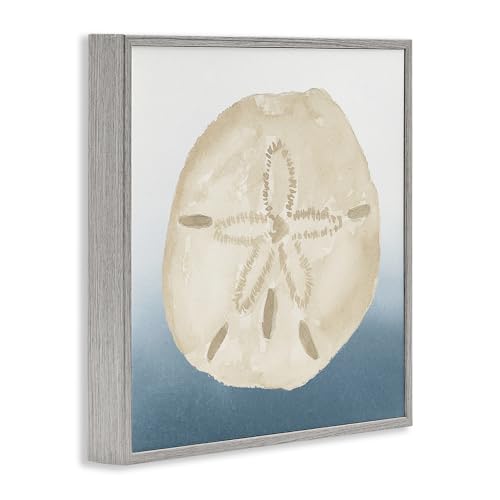 Stupell Industries 'Beige Sand Dollar Seashell', Framed Giclee Art, Gray, 12 x 12 Inches, Easy to Hang and Sturdy, Made in USA, by Lucille Price by Stupell Industries - Image 2
