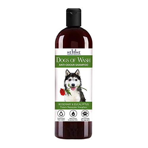 How To Wash A Siberian Husky