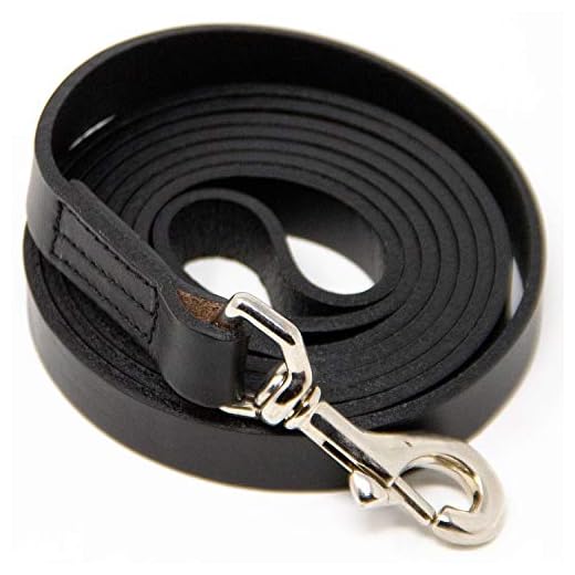 Logical Leather 6 Foot Dog Leash - Best for Training - Water Resistant Heavy Full Grain Leather Lead - Black