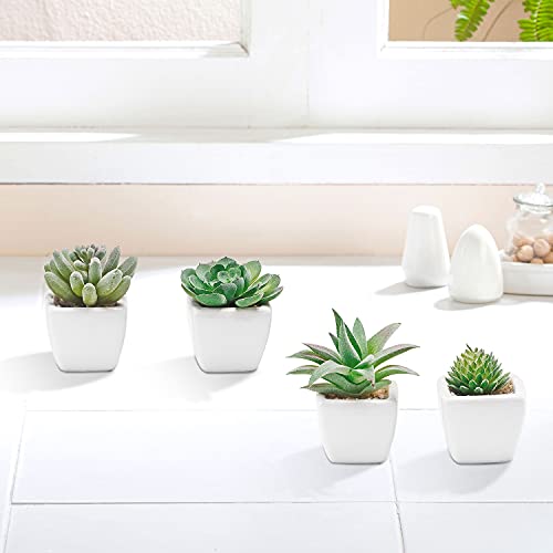 La mejor comparación de Mini macetas decorativas para comprar hoy. 11 Imagen adicional