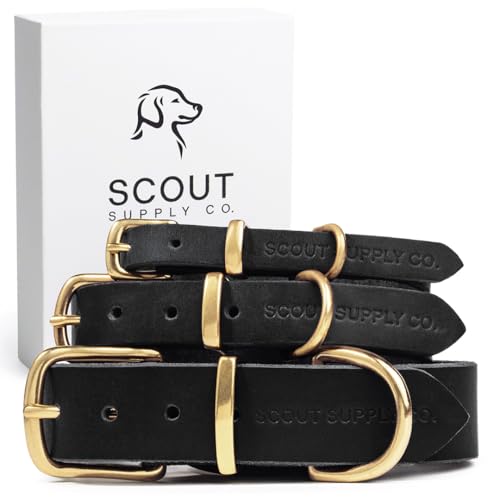 Image of Classic Genuine Leather Dog Collar | Dog Collars for Medium Dogs, Small Dogs, Large Dogs & Extra Large Dog | Wide Dog Collar | Heavy Duty Collar | Black (L: 1.2 inch Wide for 16 inch-18.5 inch Neck)
