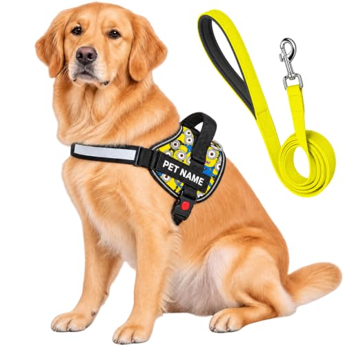 Customized Dog Harness with Leash | Dog Harness with Name | Perso...