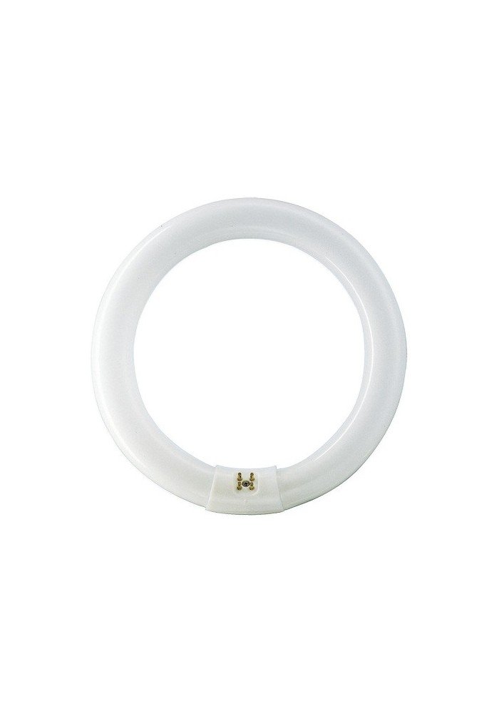 Duralamp – Tubo FLUORESCENTE TRIFOSFORO Circular Duralamp 4086T G10q. # 8197