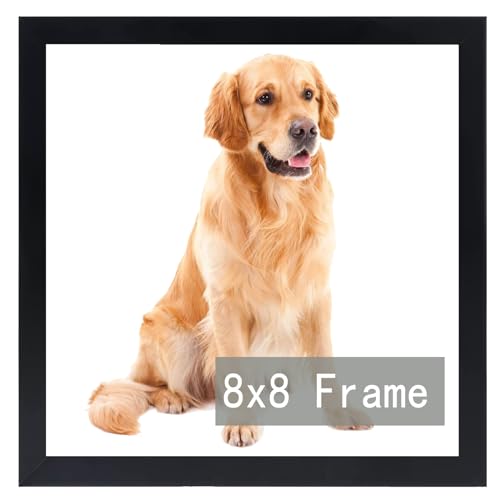 RUN HELIX 8x8 Picture Frame for 8by8 Square Poster Photo Canvas Certificate Black High Transparent Photo Frame Wall Desktop Horizontal Vertical 8 x 8,Black black 8X8inch(set of 1)