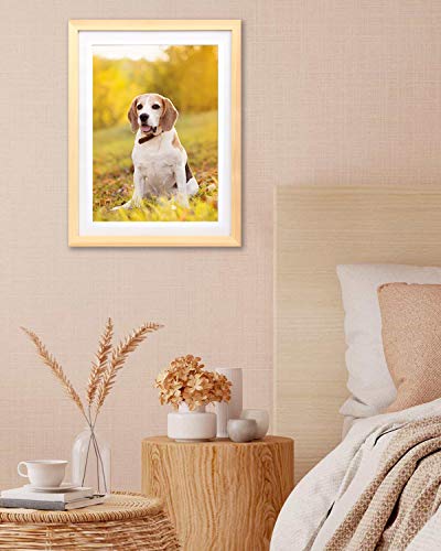 Ioostar 12X16 Diamond Painting Picture Frame ，Display Pictures 10 X 14 Inch/25X35 Cm With Mat Or 12 X 16 Inch/30X40 Cm Without Mat， Diamond Art Photo Frame Natural Solid Wood Color (Ynck0021) #TOP6