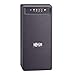 Tripp Lite 800VA UPS Backup, 475W Line-Interactive AVR, Tower, USB (OMNIVS800)