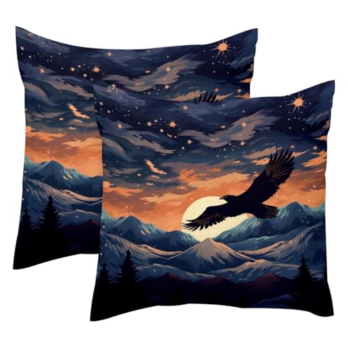 Housse de coussin moderne velours 50x50 cm lot de 2 décorations salon
