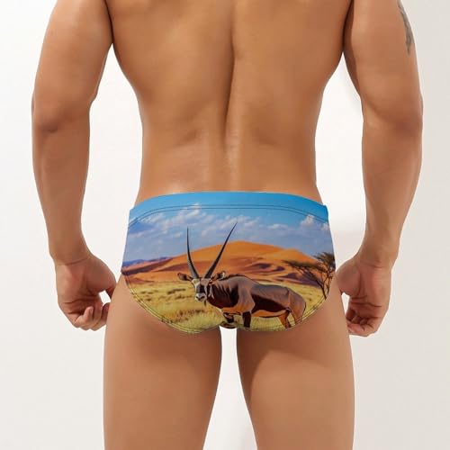 Oryx in The Red Dunes Men's Swim Brief Sexy Bikini Swimwear Swimsuit Trunks Bathing Suits2