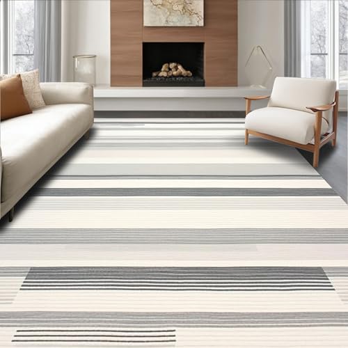 ODIKA Flatwoven High Traffic Area Rug 4x6, Sleek Linear Stripe