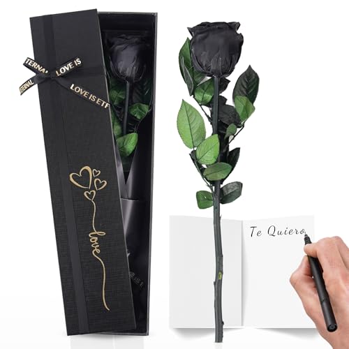 Trends by Twins® Rosa Eterna – Rosa Preservada Natural – Flores secas decoración   Flor Eterna Hecha a Mano, Regalos Originales para Mujer, Regalo Cumpleaños, Amiga o Madre