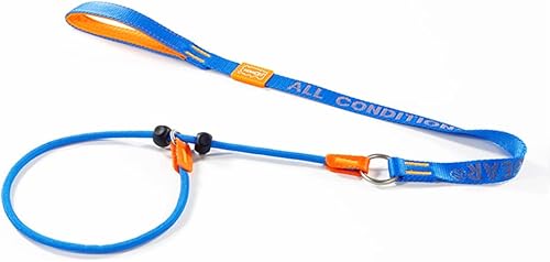 HOWGO Correa antideslizante para perro, correa de entrenamiento, correa y collar antideslizantes sin tirones, resistente y duradera, mango