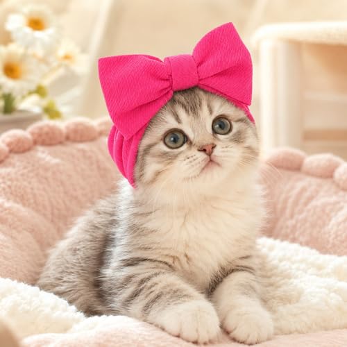 Sombrero para mascotas con moños y banda elástica para perros y gatos miniatura 3