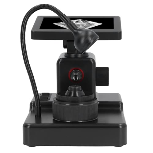 Microscope numérique grossissement 1000X clarté nette mise au point réglable