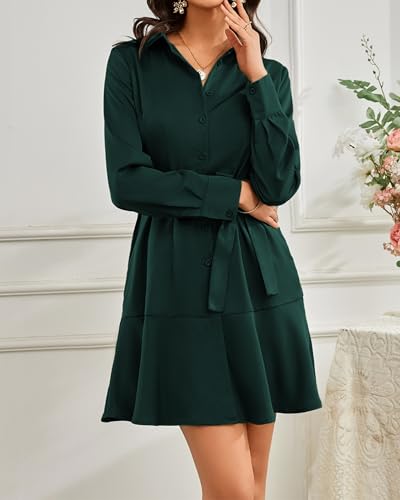 Image of Women's Long Sleeve Button Up Midi Belt Shift Collar Dress with Pockets for Work Office Business