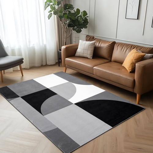 Tapis géométrique moderne lavable Petmolico dimensions 4x6 en textile résistant
