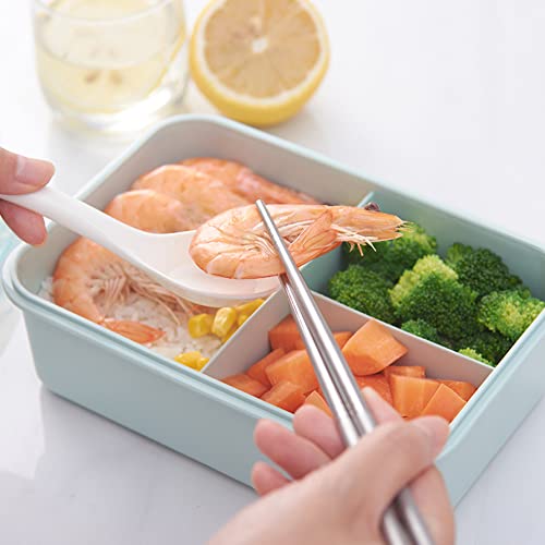 NC 2 pezzi Lunch Box Kit, Scatola del pranzo