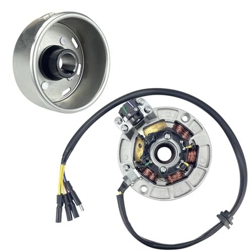 6 Coil 5 Wire Stator Magneto with Flywheel Rotor Kit