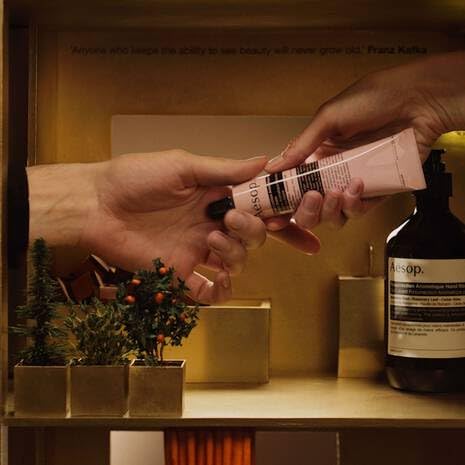 Amazon.com : Aesop Hand & Home Bathroom Abundance Gift Set