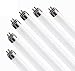 (Pack of 6) F54T5/865/HO 54-Watt T5 Fluorescent High Output Bulbs, 6500K Daylight, 54W 48 inch Fluorescent Light Bulbs