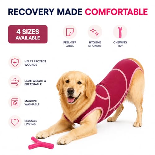 Dog Recovery Suit for Surgery, Soft Anti-Lick Dog Recovery Shirt, Breathable Cone Alternative for Skin Protection & Recovery Support (X-Large (Back: 21.3–23.2 in/Chest: 26.8–31.5 in)) by LAIKFVEA - Used condition - Image 3