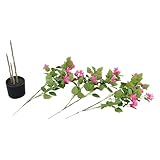 Zoom IMG-2 homeonenic piante artificiali 1 2 Zoom IMG-2 homeonenic piante artificiali 1 2