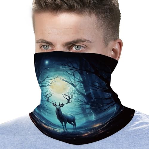 Neck Gaiter Face Mask Men Women, Oil Painting Red Flower Face Mask Scart Cover for Dust Wind Sun Protection3