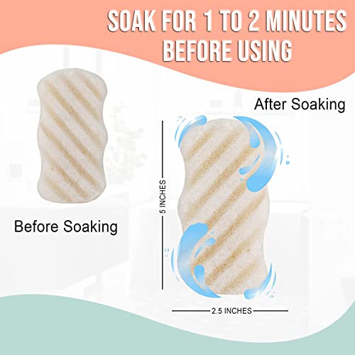 Pure SOL. Konjac Exfoliating Bath Sponge - Original Exfoliator Sponge – Konjac Sponge for Sensitive Skin - Deep Cleansing, Clean Pores, Remove Impurities - 100% Natural and Good for All Skin Types - Thumbnail 2