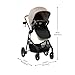 Evenflo Pivot NXT Travel System with LiteMax NXT Infant Car Seat (Latte Tan)