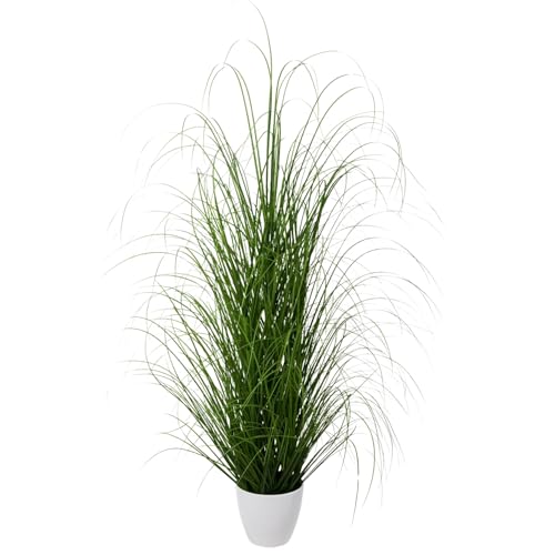 CREATIV green großer künstlicher Grasbusch 120cm im weißen Kunststofftopf I naturgetreues Dekogras im Topf weiß I Ziergras für Innen I hochwertige Dekopflanze I Sichtschutz Deko Kunstpflanze CREATIV green großer künstlicher Grasbusch 120cm im weißen Kunststofftopf I naturgetreues Dekogras im Topf weiß I Ziergras für Innen I hochwertige Dekopflanze I Sichtschutz Deko Kunstpflanze
