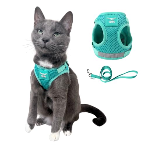 Jackson Galaxy x Travel Cat Harness