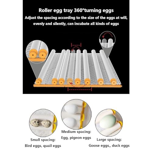 Incubadora De Ovos, 48 ​​56 64 Incubadora Inteligente Multifuncional, Incubação De Rotação Automátic