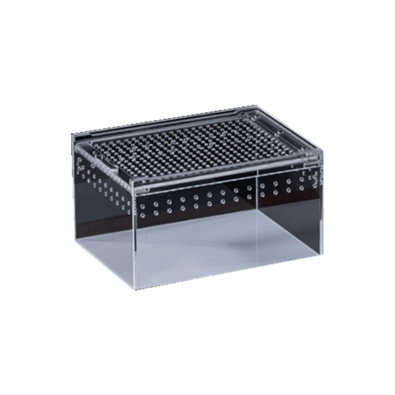 Boîte d'élevage en acrylique transparent premium pour tarentules et reptiles