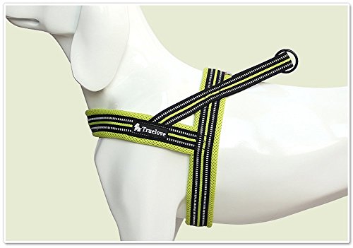 PENTAQ Cablaggio del cane Notte riflettente