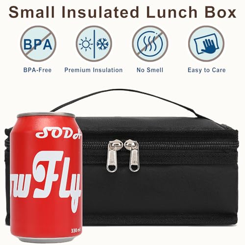 FlowFly Insulated Lunch Box