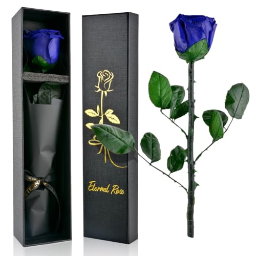 PLECUPE Ewige Rose mit Stiel, Echte Infinity Rose in Box, Rote Rosen Geschenkbox Frauen, Haltbare Konservierte Rose in Rosenbox, Geschenk für Mutter Freundin Valentinstag Muttertag, Blau PLECUPE Ewige Rose mit Stiel, Echte Infinity Rose in Box, Rote Rosen Geschenkbox Frauen, Haltbare Konservierte Rose in Rosenbox, Geschenk für Mutter Freundin Valentinstag Muttertag, Blau
