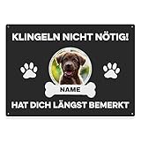 PfotenSchild