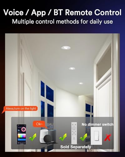 Lutron smart lighting system
