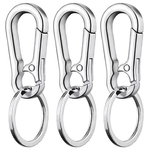 LABUYI 3 Mosquetones Llaveros, Pequeños, Metales, Extraíbles, Aleación de Zinc, para Mochilas, Coches, Plata