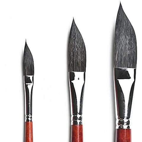 Biaelk 666DS Dagger Shape Squirrel Mix Hair Wooden Handle Watercolor Brushes,Face Paint Brushes, Size#10#18#24 Paintbrush Set for Artist Cover