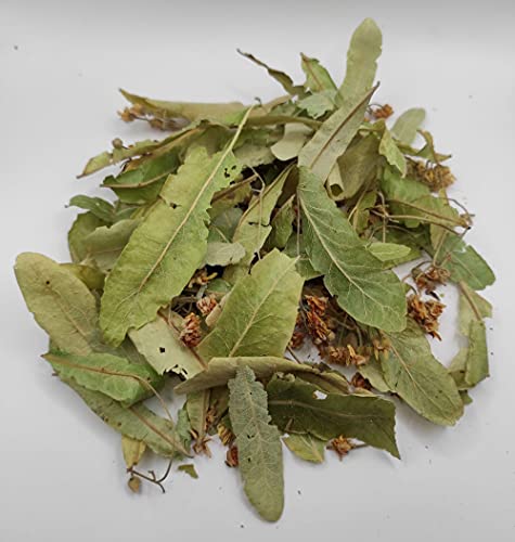 Tilo Seco Salvaje Hojas y Flores 85g a 1.95KG Cosecha Mayo 2022 Tilia Cordata (1950 gramos) - Imagen 5