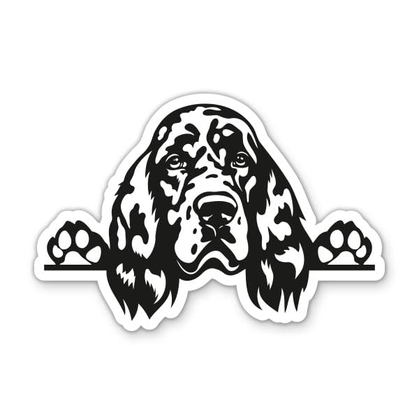 English Setter Dog Peeking Vinyl Sticker - for Car...