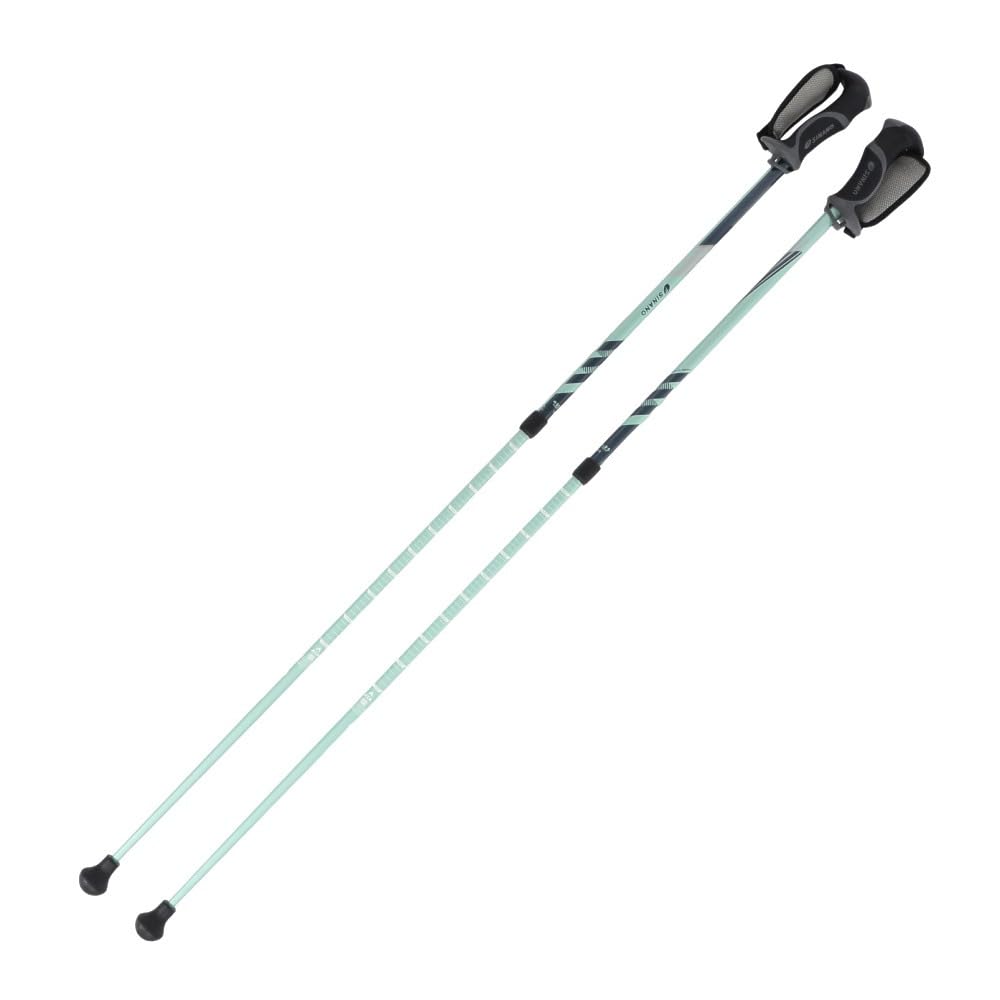 Amazon | SINANO(シナノ) レビータLaくっしょん ウォーキング ポール