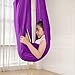 Hamac de balançoire pour Enfant, Balançoire Thérapie Intérieure Hamac Suspendu Élastique, idéal pour l'Autisme, Le TDAH, Le Syndrome d'Asperger et l'intégration sensorielle (150 X 280CM, Purple)